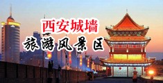 苻小雨裸体中国陕西-西安城墙旅游风景区